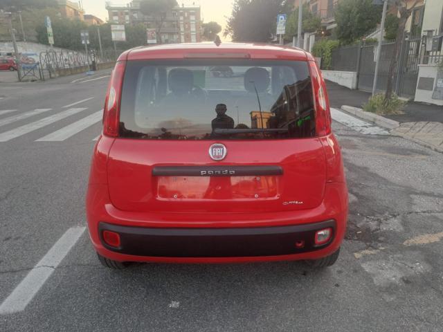 FIAT Panda 1.2 GPL 69cv - UNIPRO TAGLIANDATA