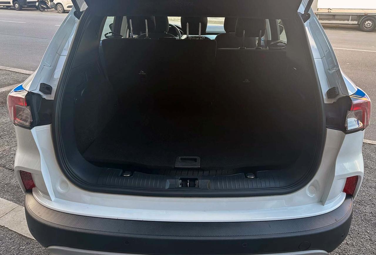 Ford Kuga 1.5 EcoBlue 120 CV 2WD Titanium