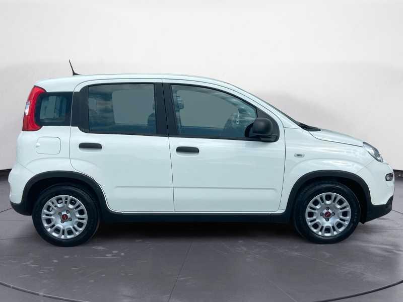 FIAT Panda 1.0 firefly hybrid City Life 70cv 5p.ti