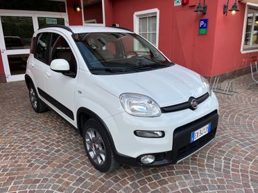 Fiat Panda 1.3 MJT - Turbo Diesel - 4x4