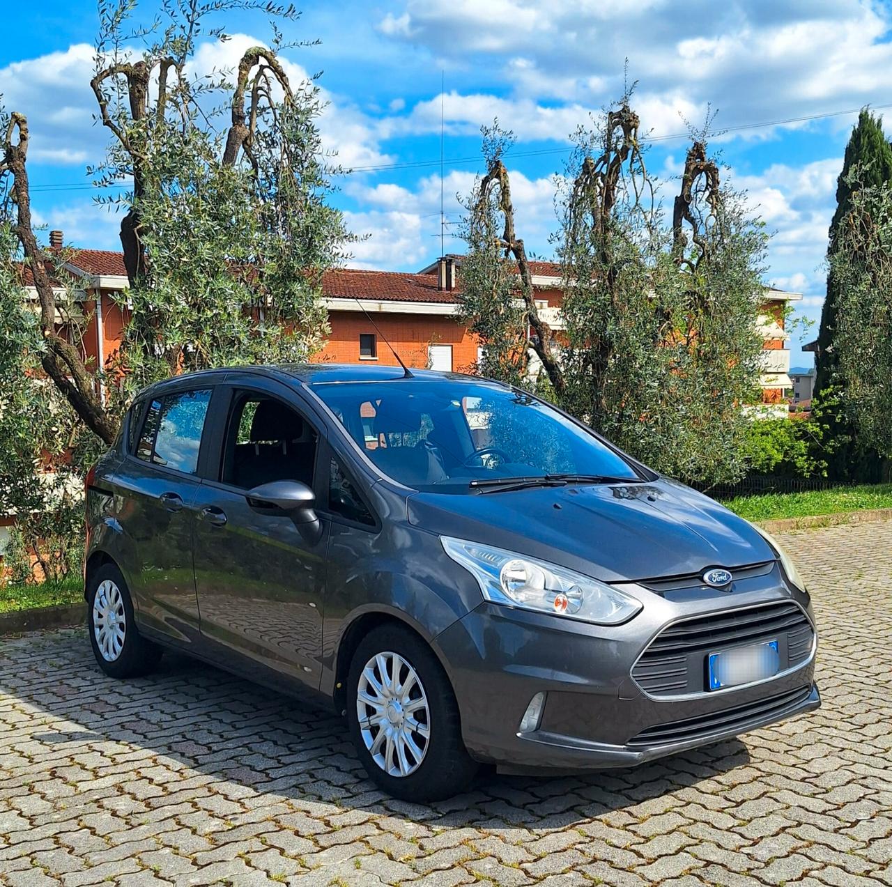 Ford B-Max 1.6 TDCi 95 CV Business - Tagliandata Cinghia fatta