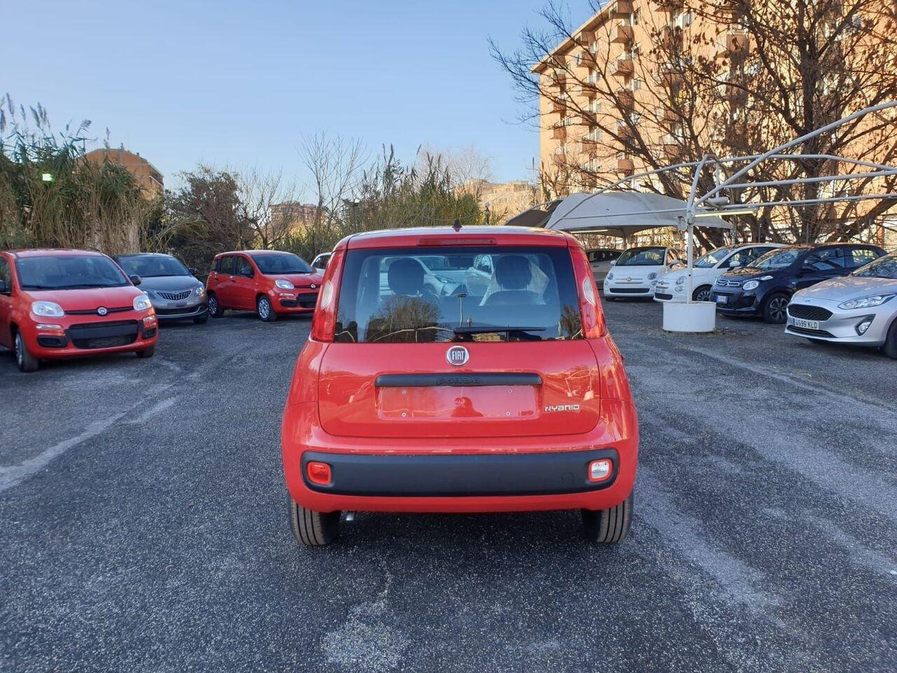 FIAT Panda III 2021 - Panda 1.0 firefly hybrid s&s 70cv