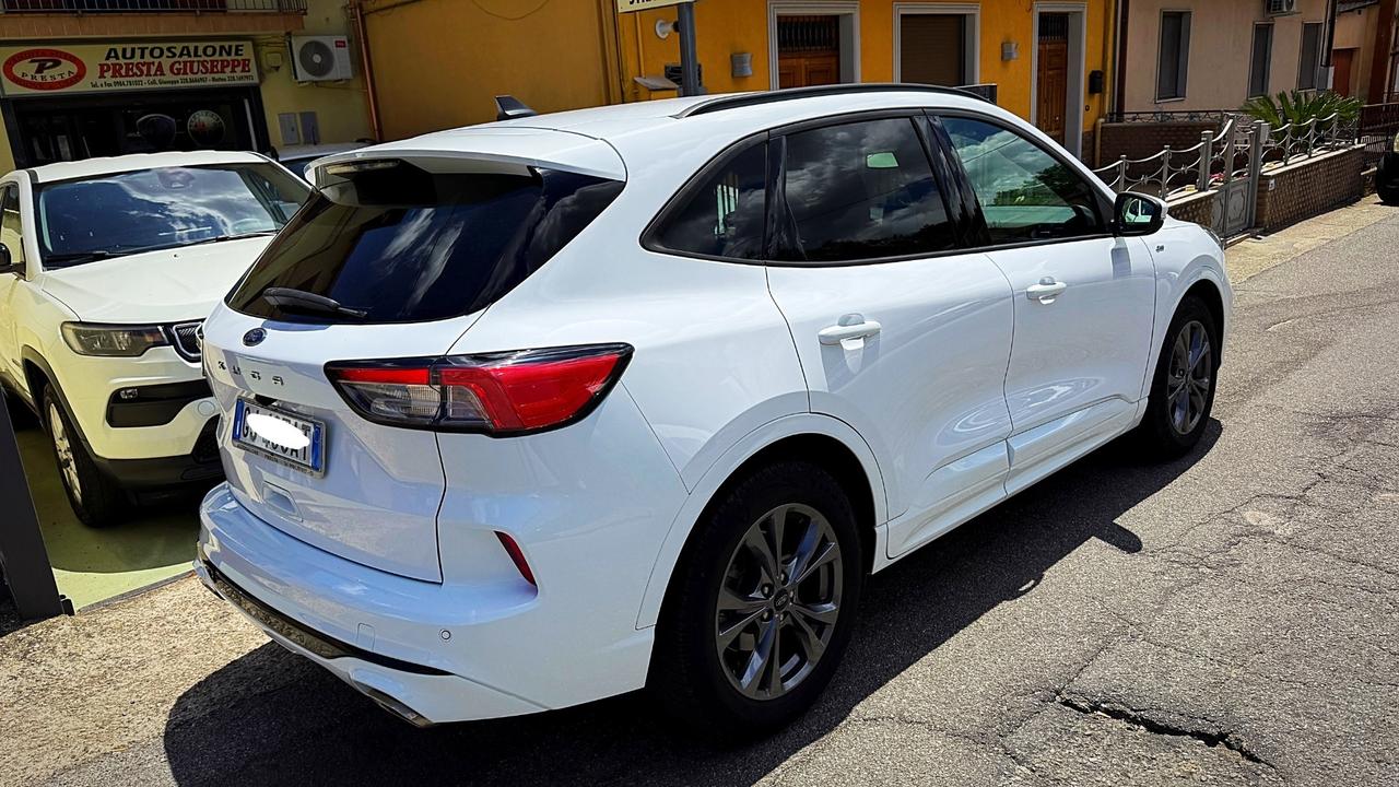 Ford Kuga 1.5 Tdci ST-Line Aut. - 2022