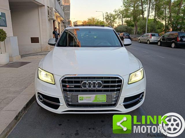 AUDI Q5 3.0 V6 TDI 245 CV quattro Advanced Plus SQ5