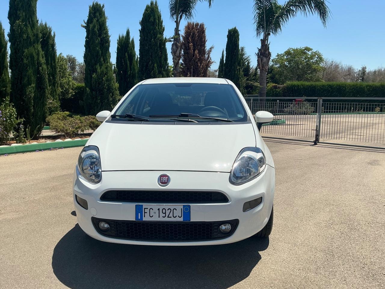 FIAT PUNTO 1.4 NATURAL POWER BENZINA E METANO 2015