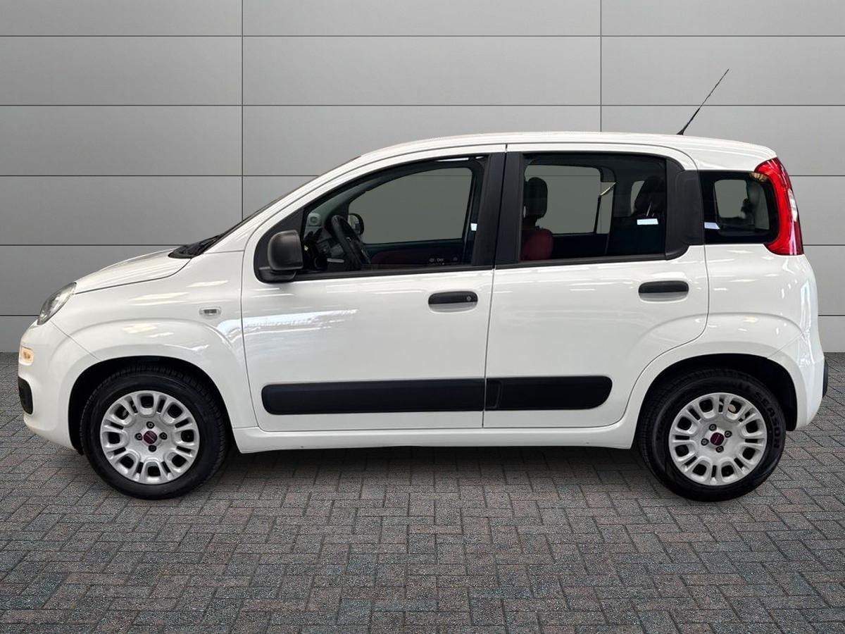 FIAT Panda 3ª serie - Panda 1.2 Pop