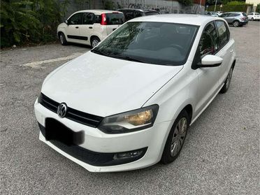 Volkswagen Polo Polo 5p 1.2 tdi Trendline