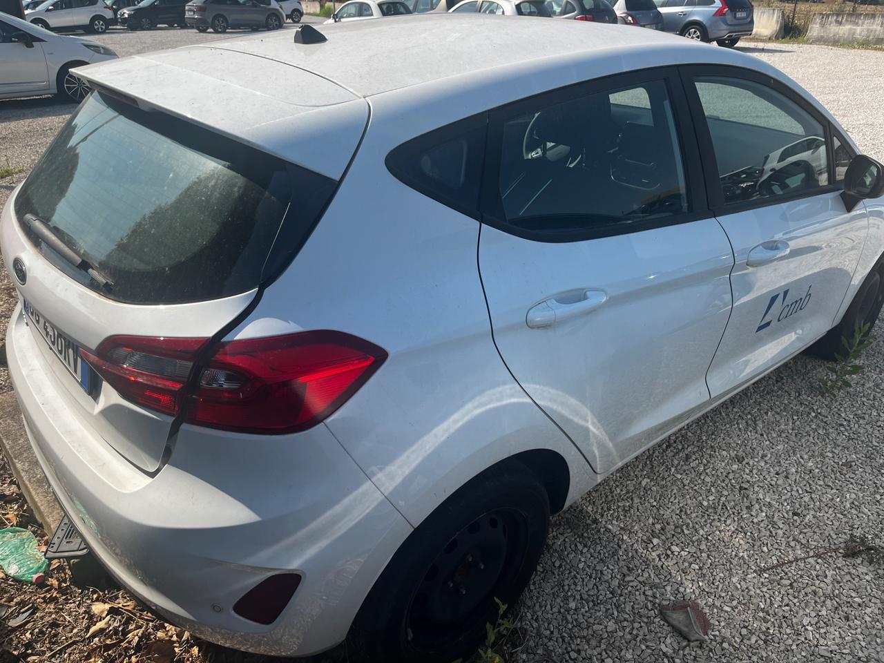 Ford Fiesta 1.0 Ecoboost 100 CV 5 porte Business