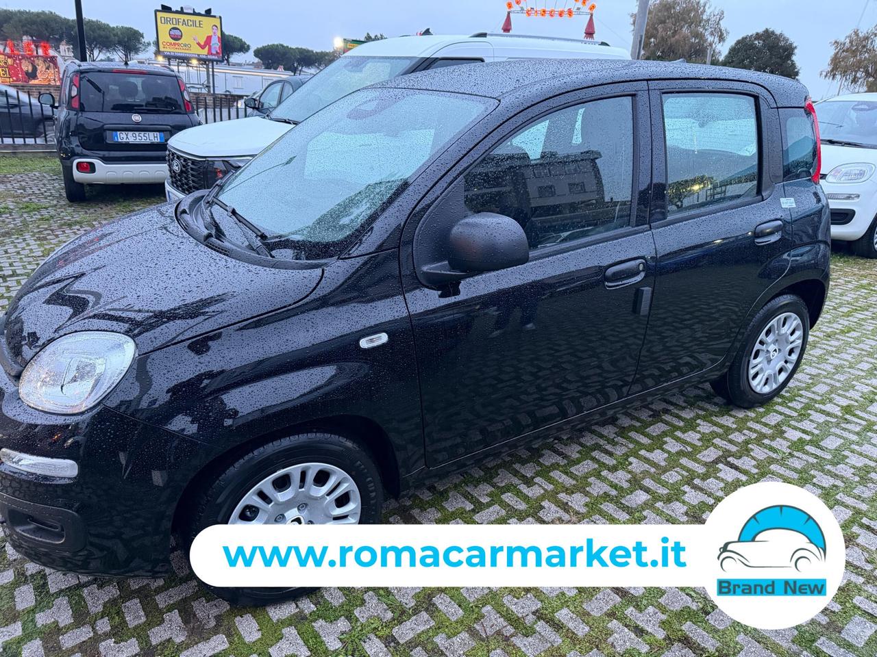 Fiat PANDA PANDINA 1.0 firefly hybrid Icon s&s 70cv PREZZO REALE NO VINCOLI