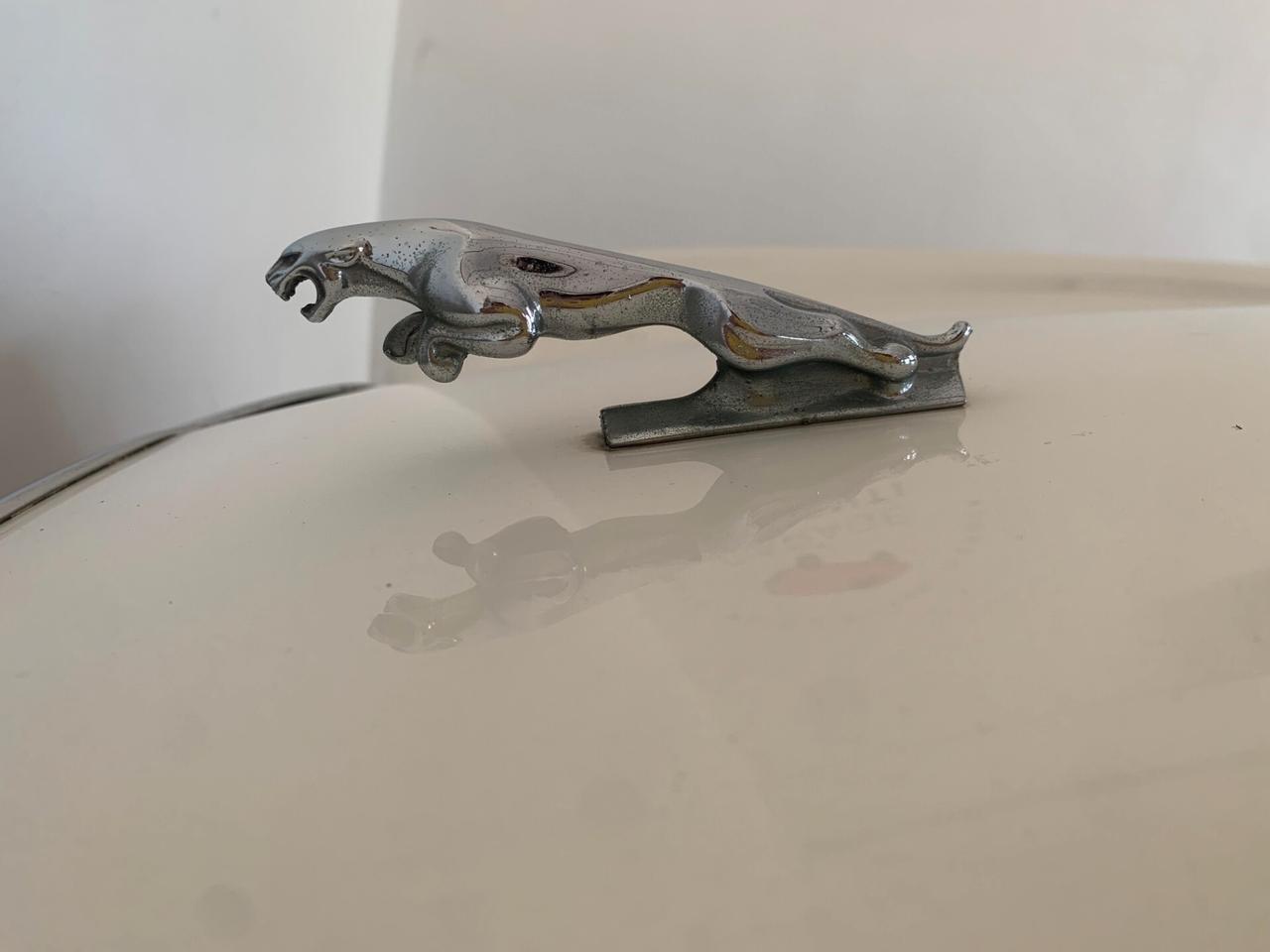 Jaguar Sovereign HE 5.3