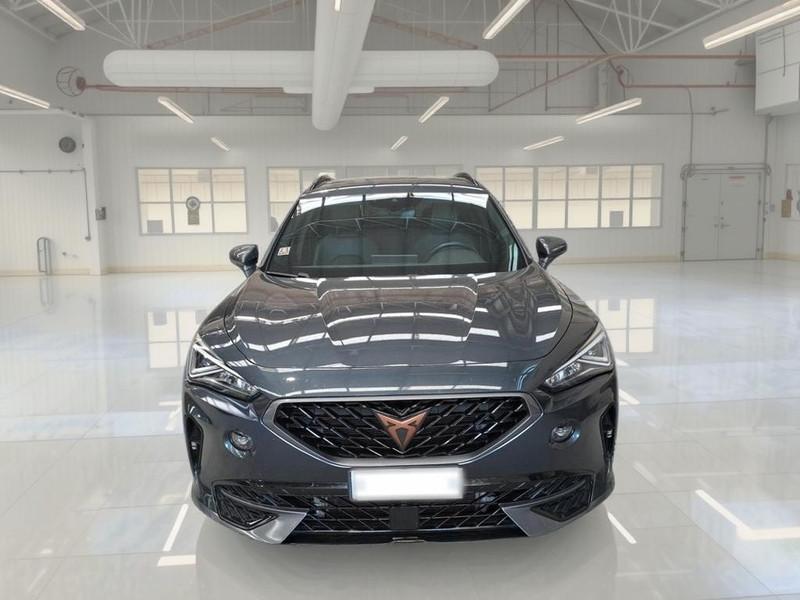 CUPRA FORMENTOR 2.0 TDI 4DRIVE DSG SUV