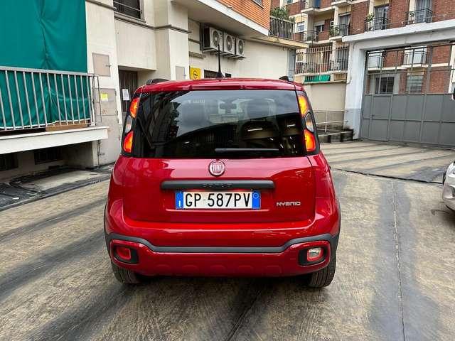 Fiat Panda Cross 1.0 Hybrid 70cv 36 rate Rate da 177,95 Euro