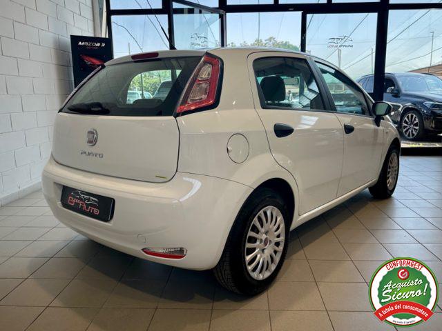 FIAT Punto 1.2 8V 5p. Pop *NEOPATENTATI*