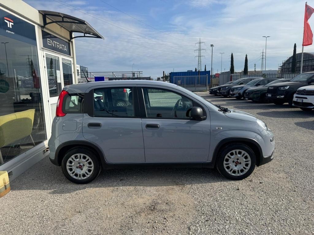 FIAT Panda III 2021 - Panda 1.0 firefly hybrid s&s 70cv 5p.ti