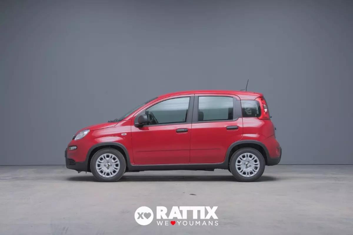 Fiat Panda 1.0 Firefly Hybrid 70CV 5p.ti ADAS + Pack City