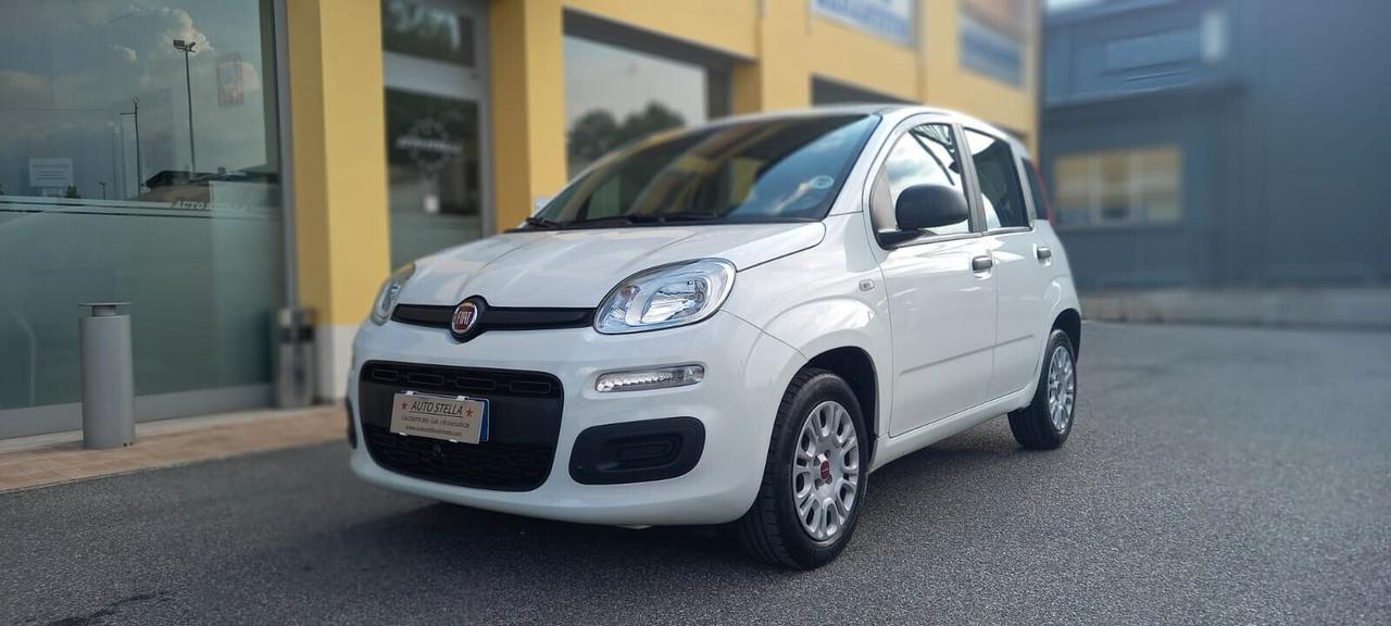 Fiat Panda Benzina cc. 1.242 5 Porte 5 Posti SOLO 55.075 Chilometri Utilizzabile anche per i Neopatentati.