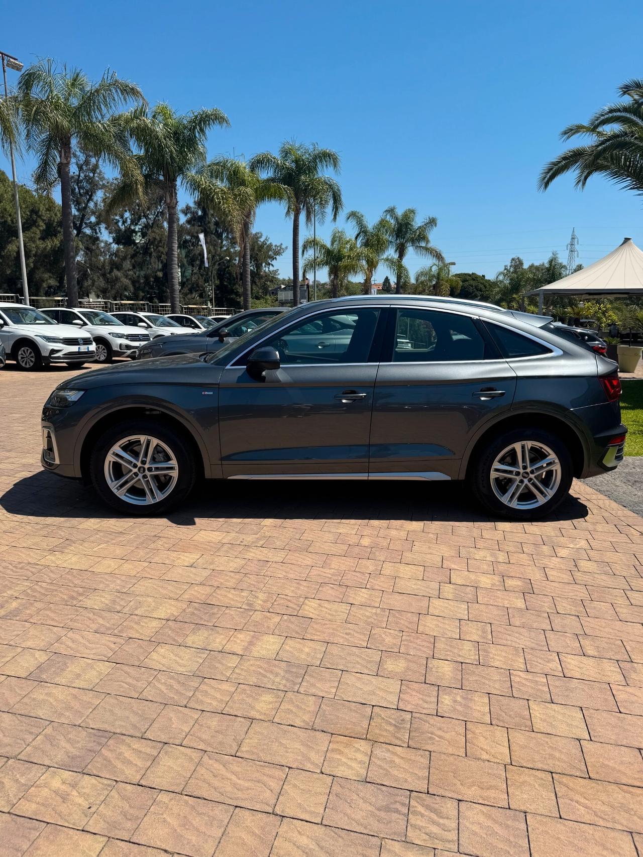 Audi Q5 SPB 40 TDI quattro S tronic line plus