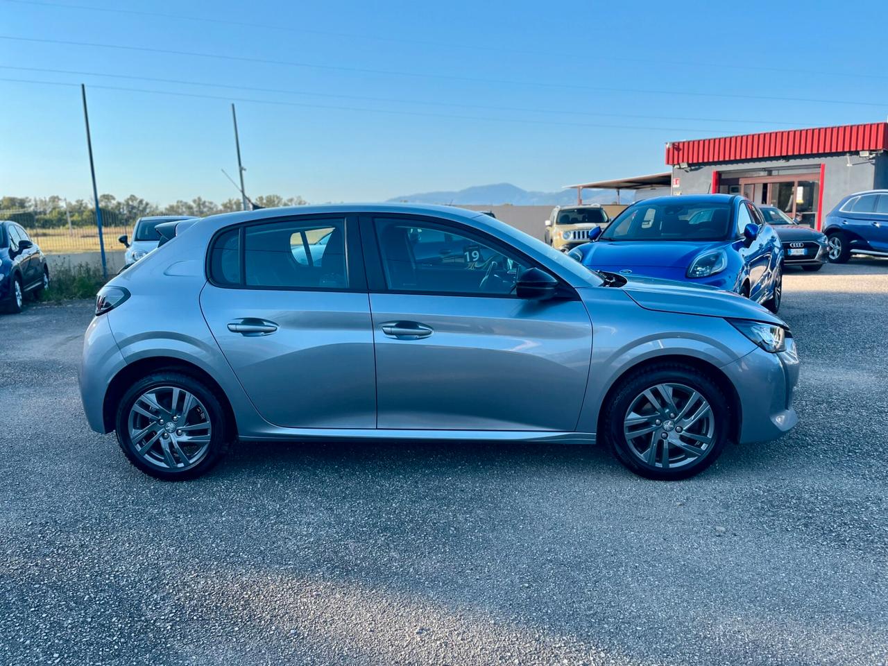 Peugeot 208 BlueHDi 100 Stop&Start 5 porte - N1 ( autocarro )