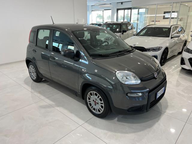 FIAT Panda 1.0 FireFly S&S Hybrid Sensori di parcheggio