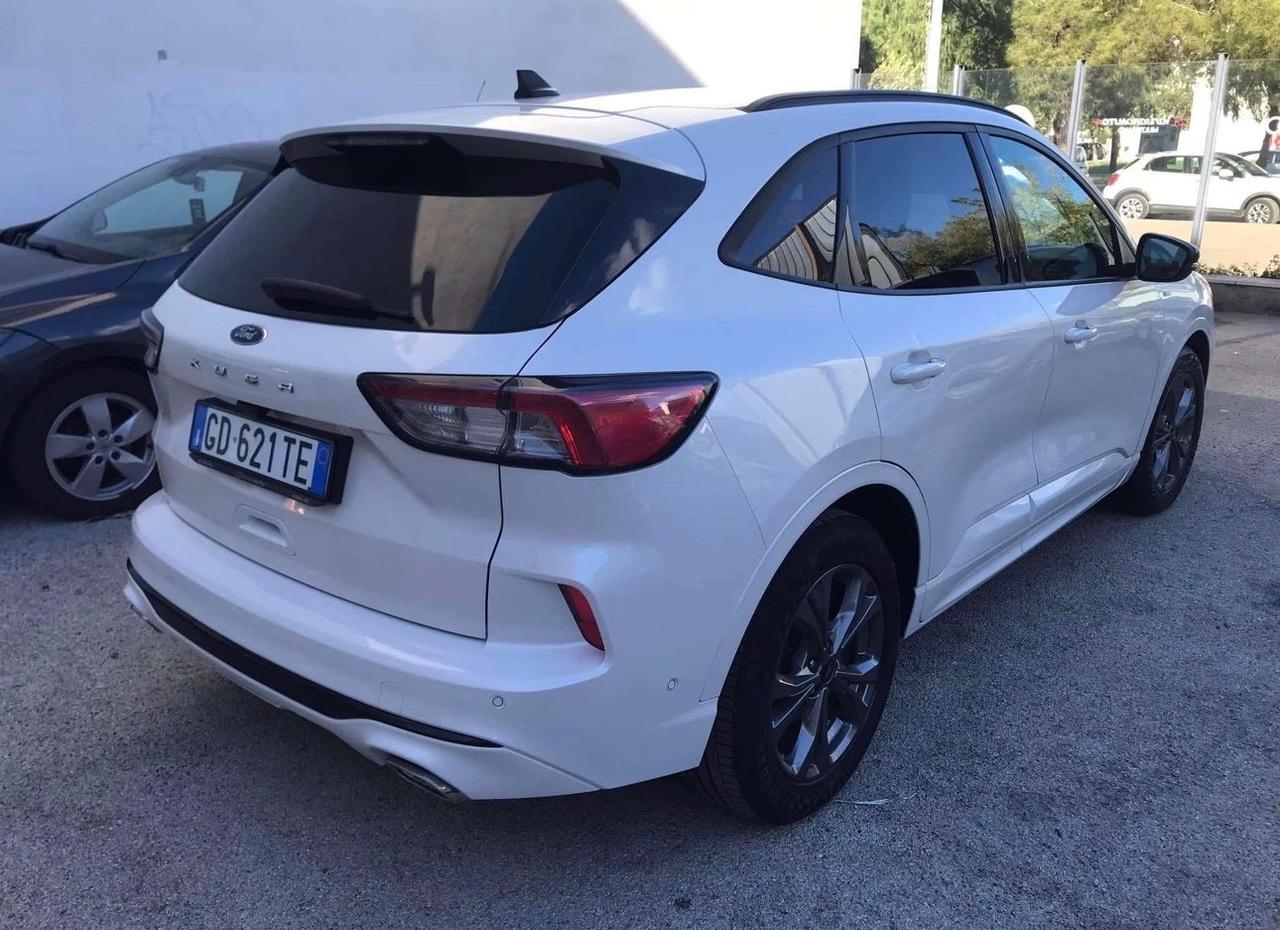 Ford Kuga 1.5 EcoBlue 120 CV aut. 2WD ST-Line X