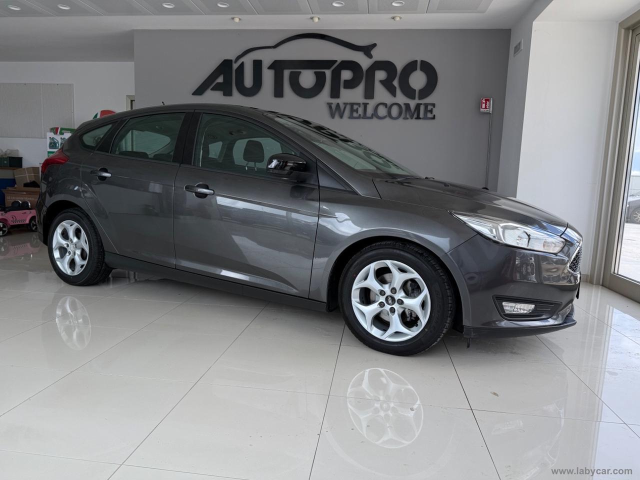 FORD Focus 1.5 TDCi 95 CV S&S Plus