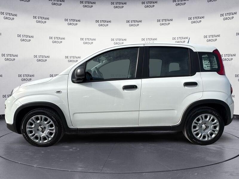 FIAT Pandina Pandina 1.0 firefly hybrid Pop s&s 70cv