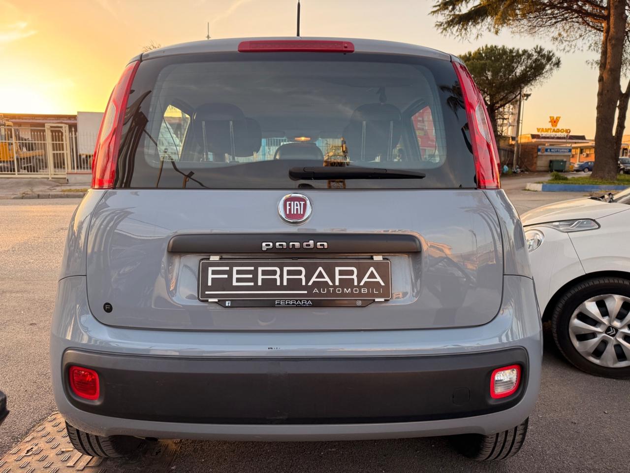 Fiat Panda 1.2 Lounge 69cv 2019