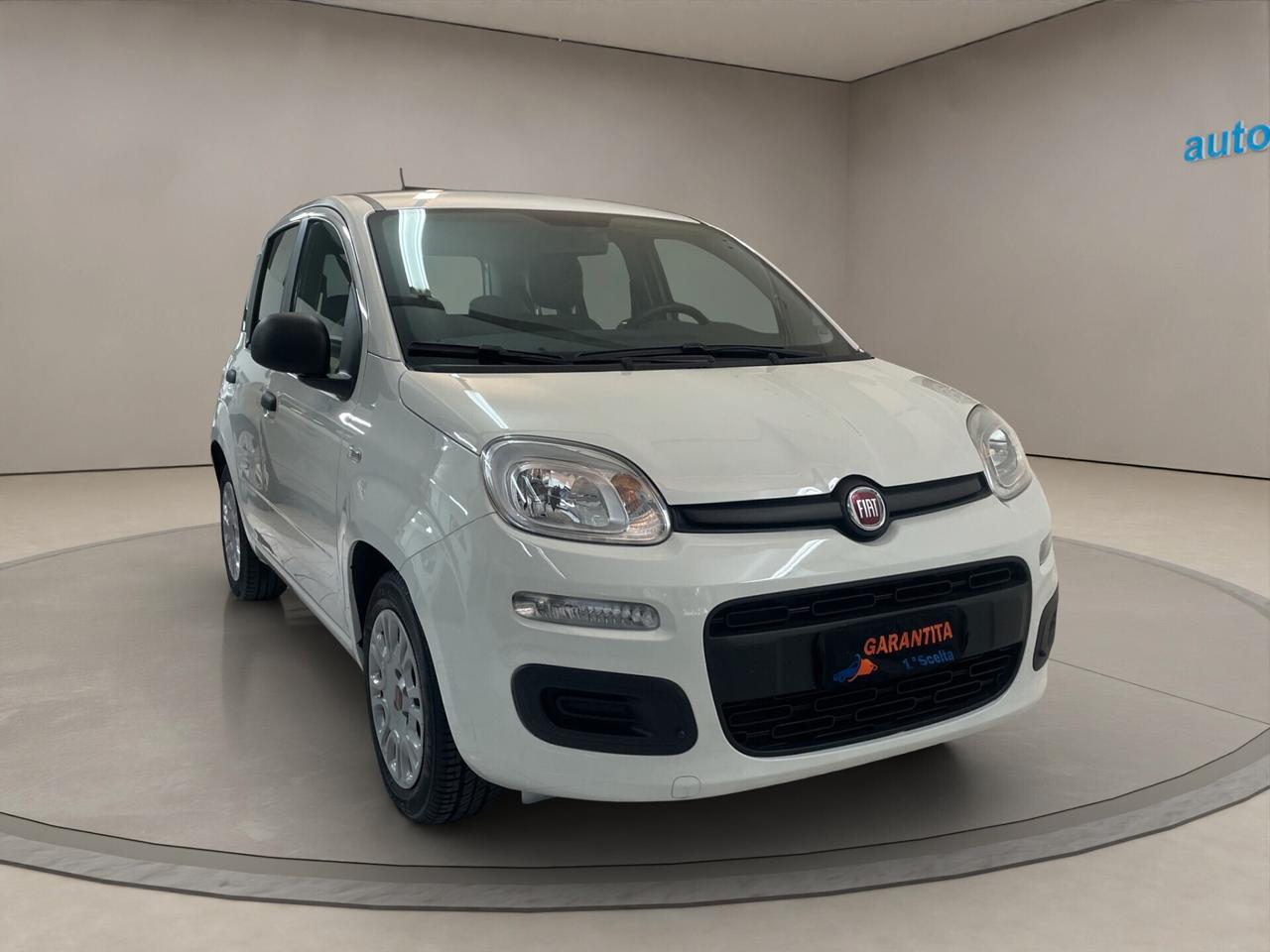 Fiat Panda UNICO PROPRIETARIO - 5 POSTI