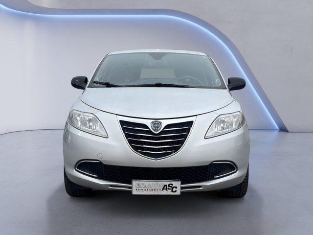 LANCIA Ypsilon 1.2 BENZ 69 CV 5porte ADATTA NEOPATENTATI Platinum