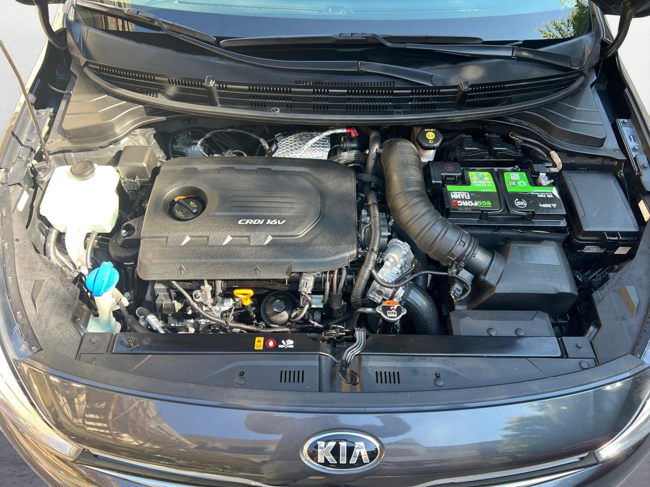 Kia Rio 5 Porte Rio 1.4 crdi 90cv Cool navi Carplay+RUOTA KM 69.400