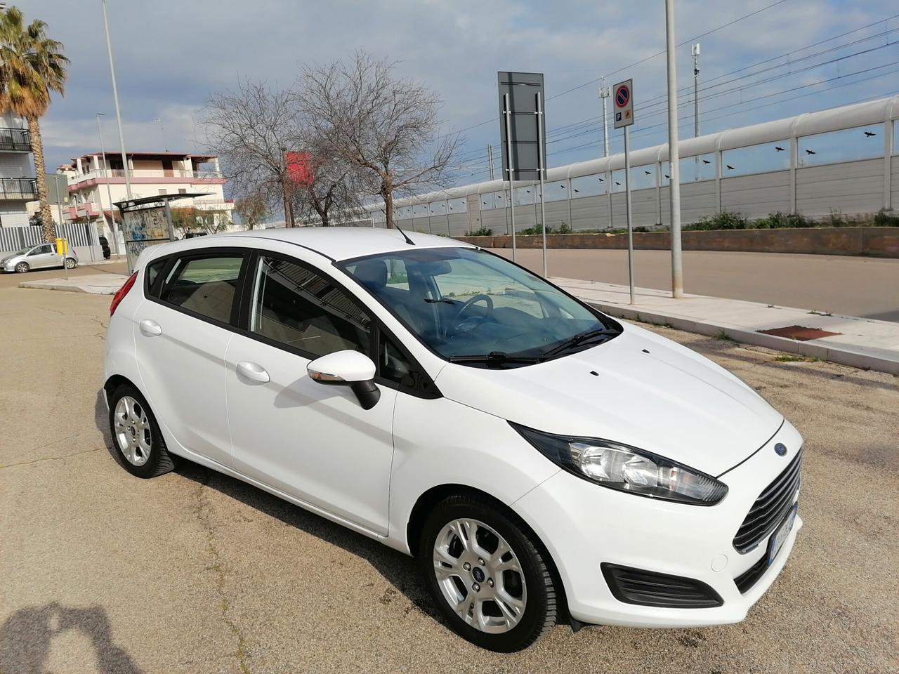 Ford Fiesta 1.5 TDCi 75CV 5 porte Titanium 2014