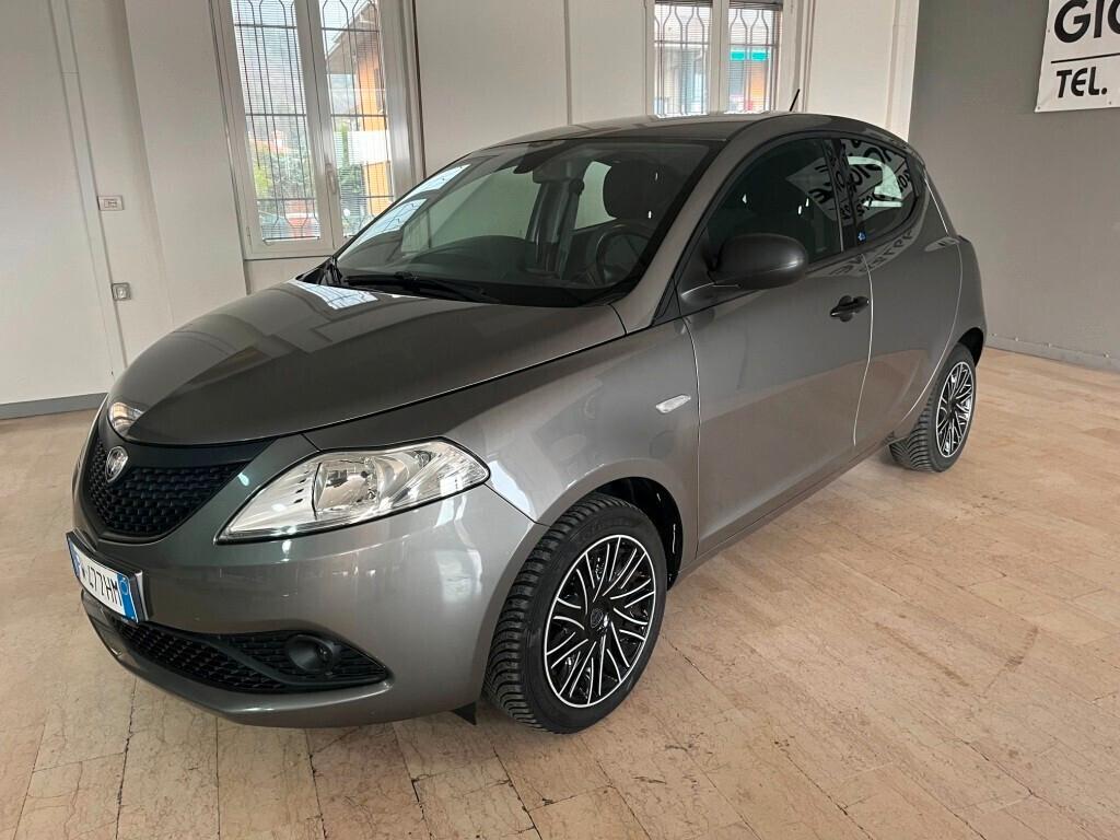 Lancia Ypsilon 1.2 69cv 5p Gpl Ecochic Adatta a Neopatentati