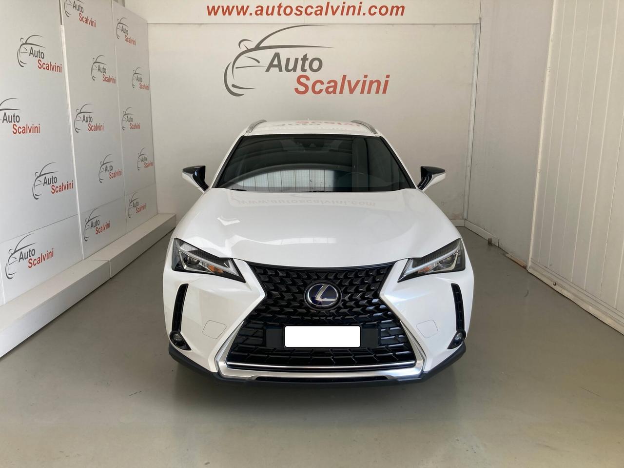 Lexus UX 250 Hybrid Executive