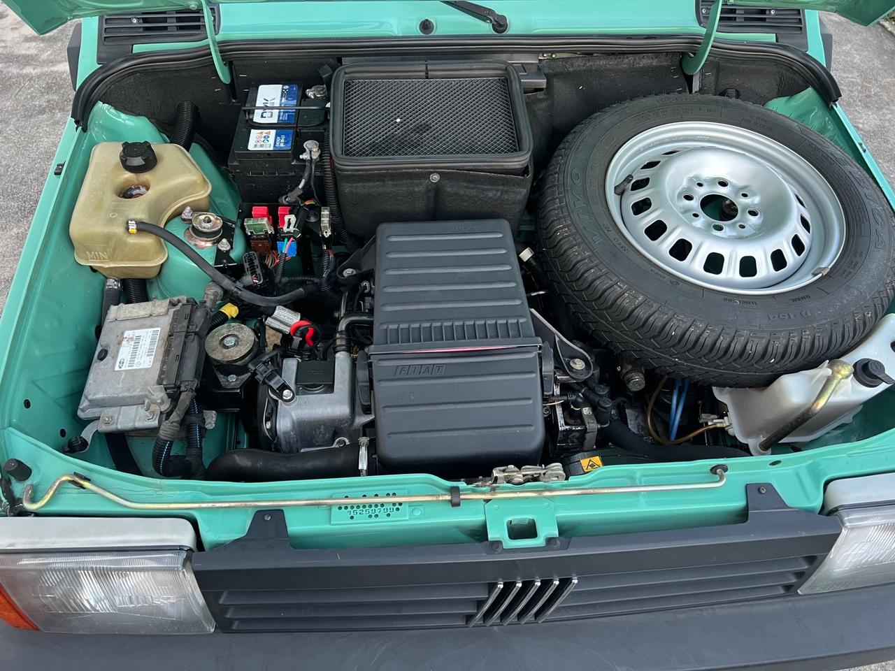 Fiat Panda 1100 i.e. cat Young