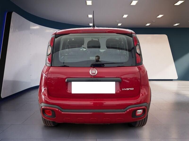 FIAT Panda Cross Panda III 2021 Cross Panda 1.0 firefly hybrid City Cross s&s 70cv 5p.ti