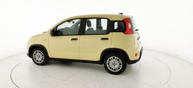 FIAT Panda 1.0 FireFly S&S Hybrid - KM ZERO