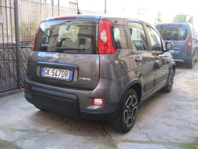 FIAT New Panda 1.0 FIREFLY S-S HYBRID CITY LIFE