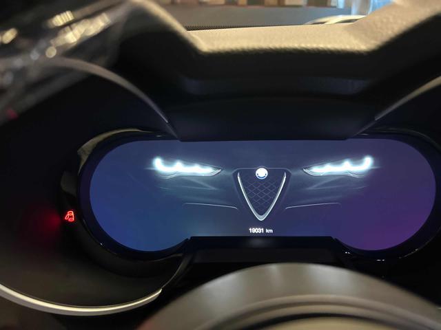 ALFA ROMEO Stelvio 2.2 Turbodiesel 210 CV AT8 Q4 Veloce