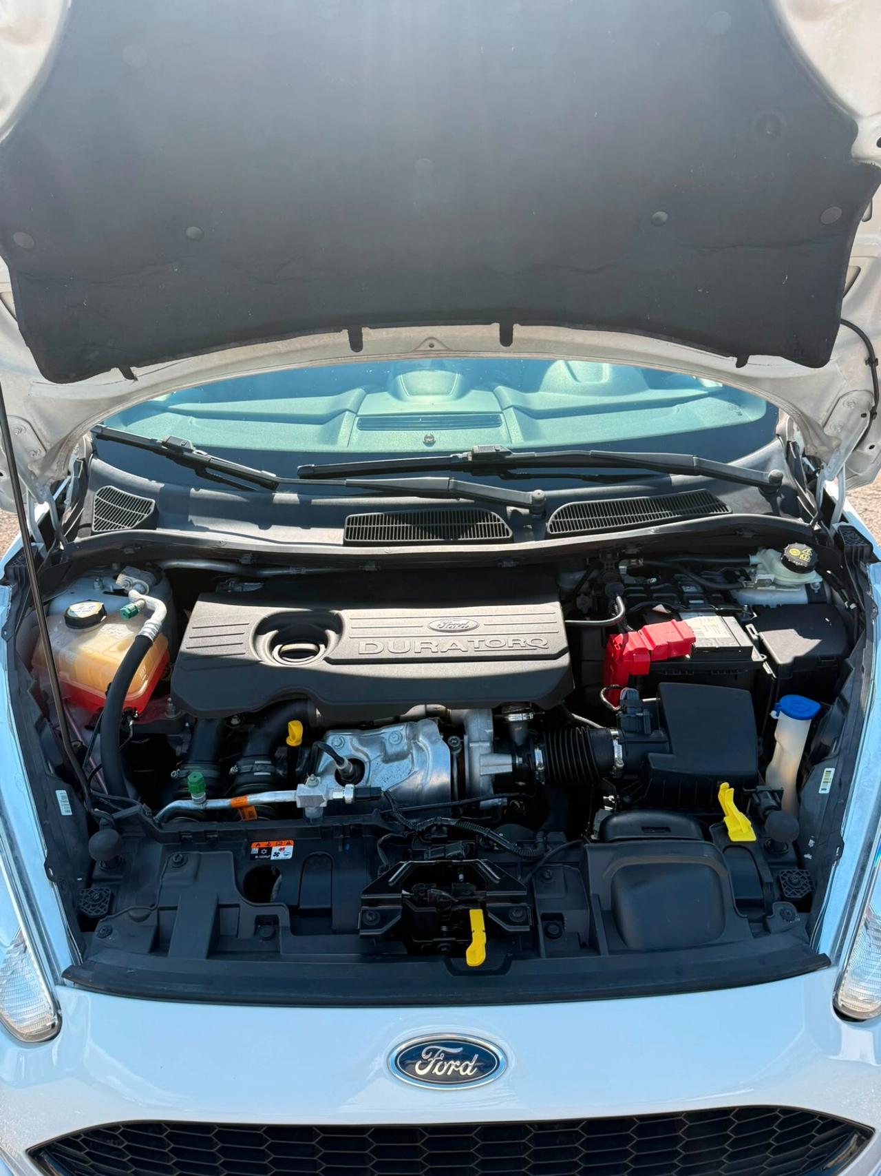 Ford Fiesta 1.5 TDCi 75CV 5 porte ST-Line