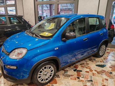 Fiat Panda 1.0 HYBRID 70cv