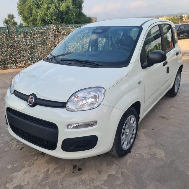 FIAT Pandina 1.0 FireFly 65 CV Hybrid Icon