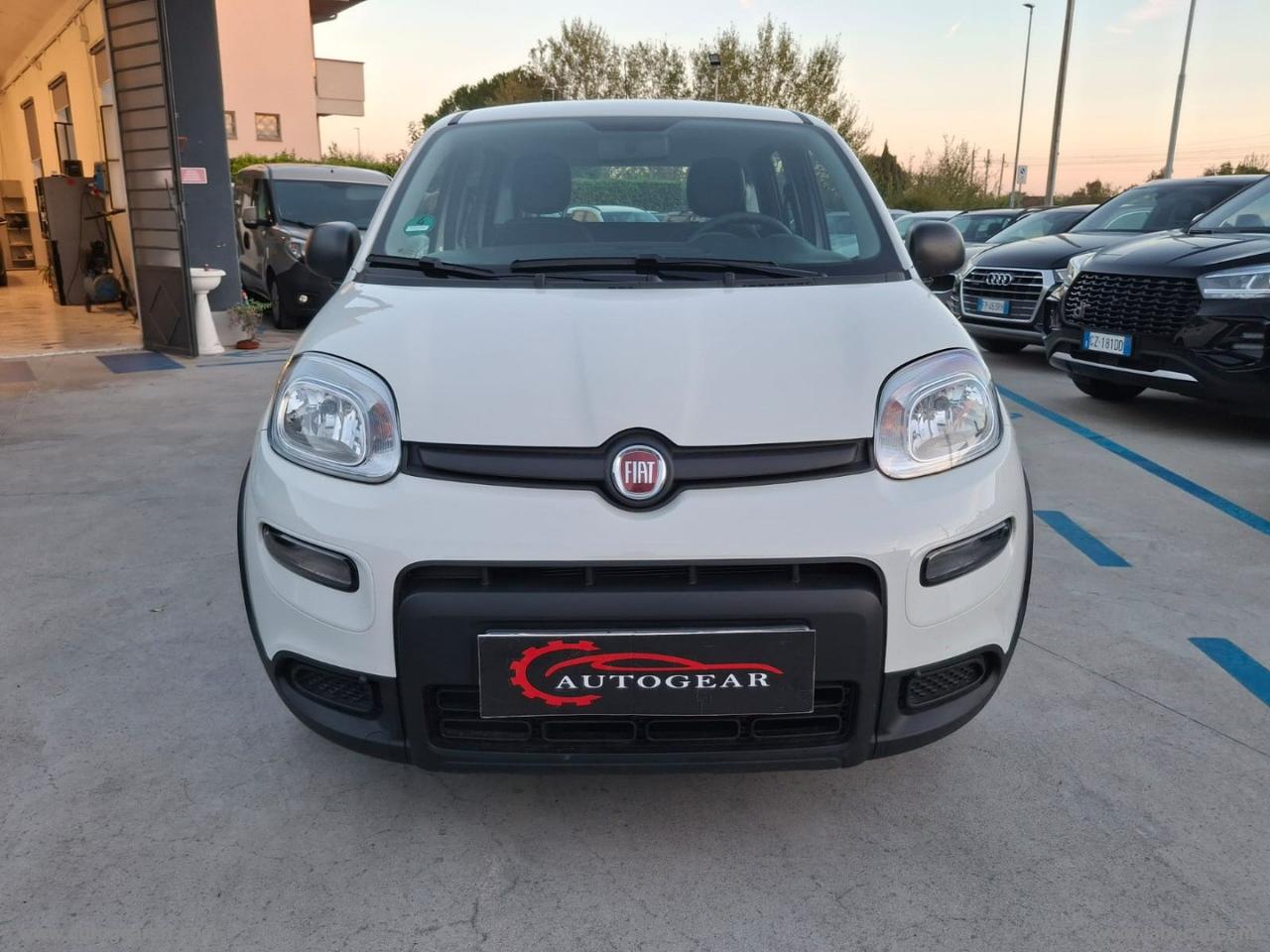 FIAT Panda 1.0 FireFly S&S Hybrid AUTO DA IMMATRICOLARE IN ITALIA PROVENIENZA GERMANIA