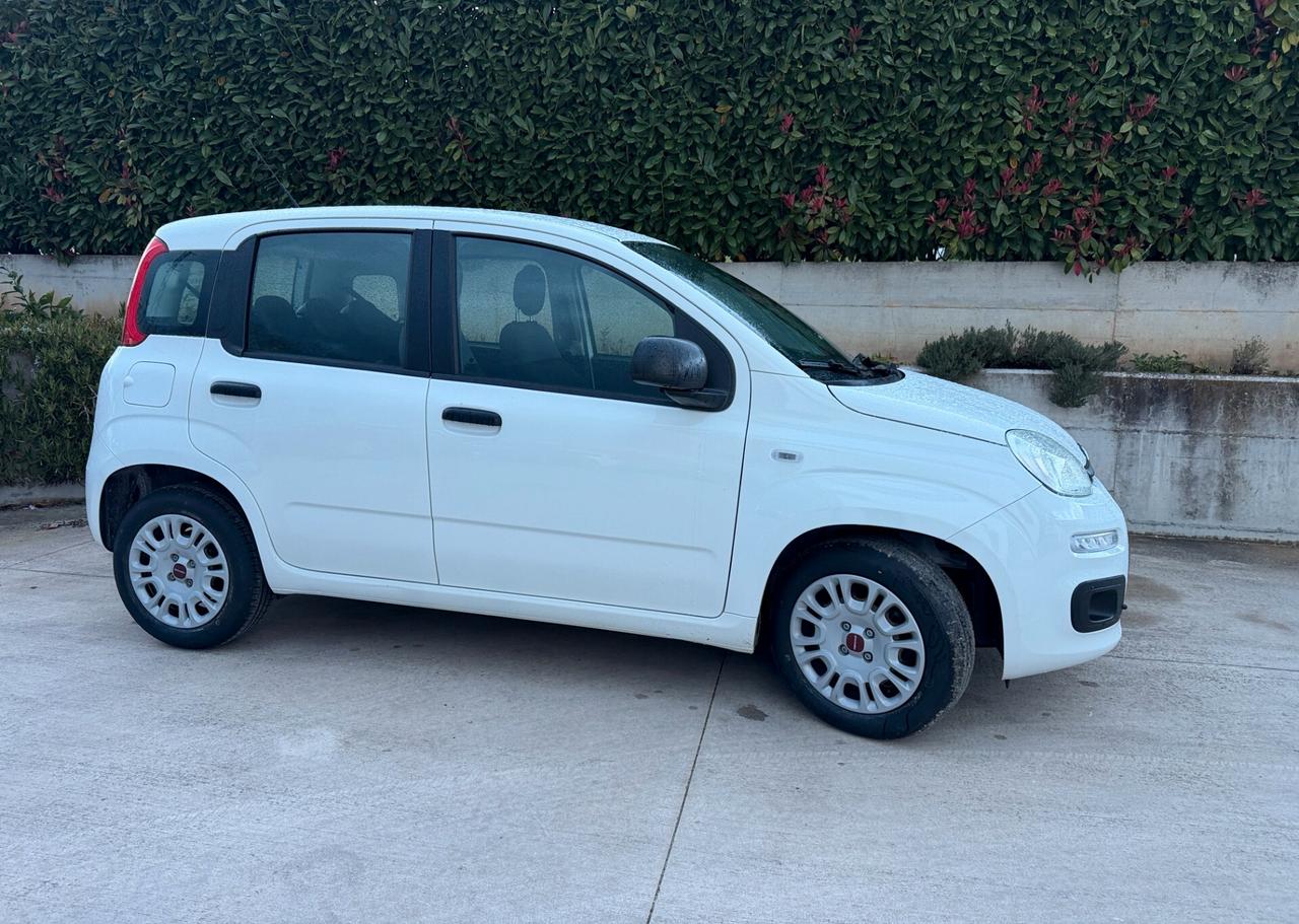Fiat New Panda 1.2 cv 70 Lounge. Euro 6B