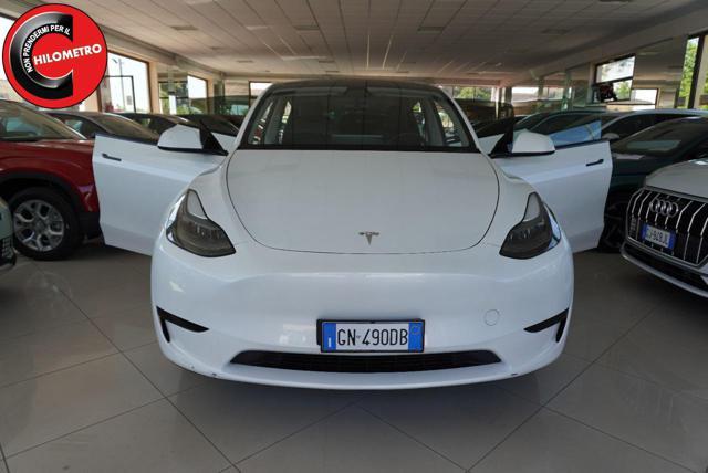 TESLA Model Y RWD