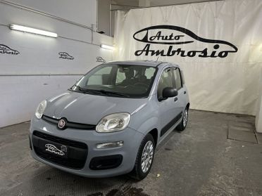 FIAT Panda Panda 1.2 tua da 109,00 al mese