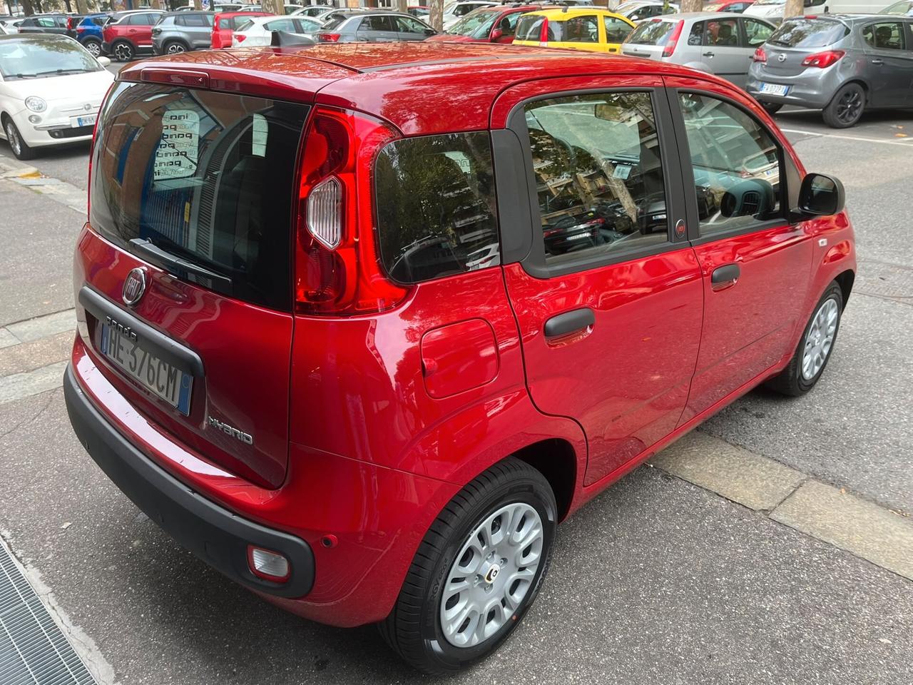 Fiat Panda 1.0 FireFly S&S Hybrid Icon