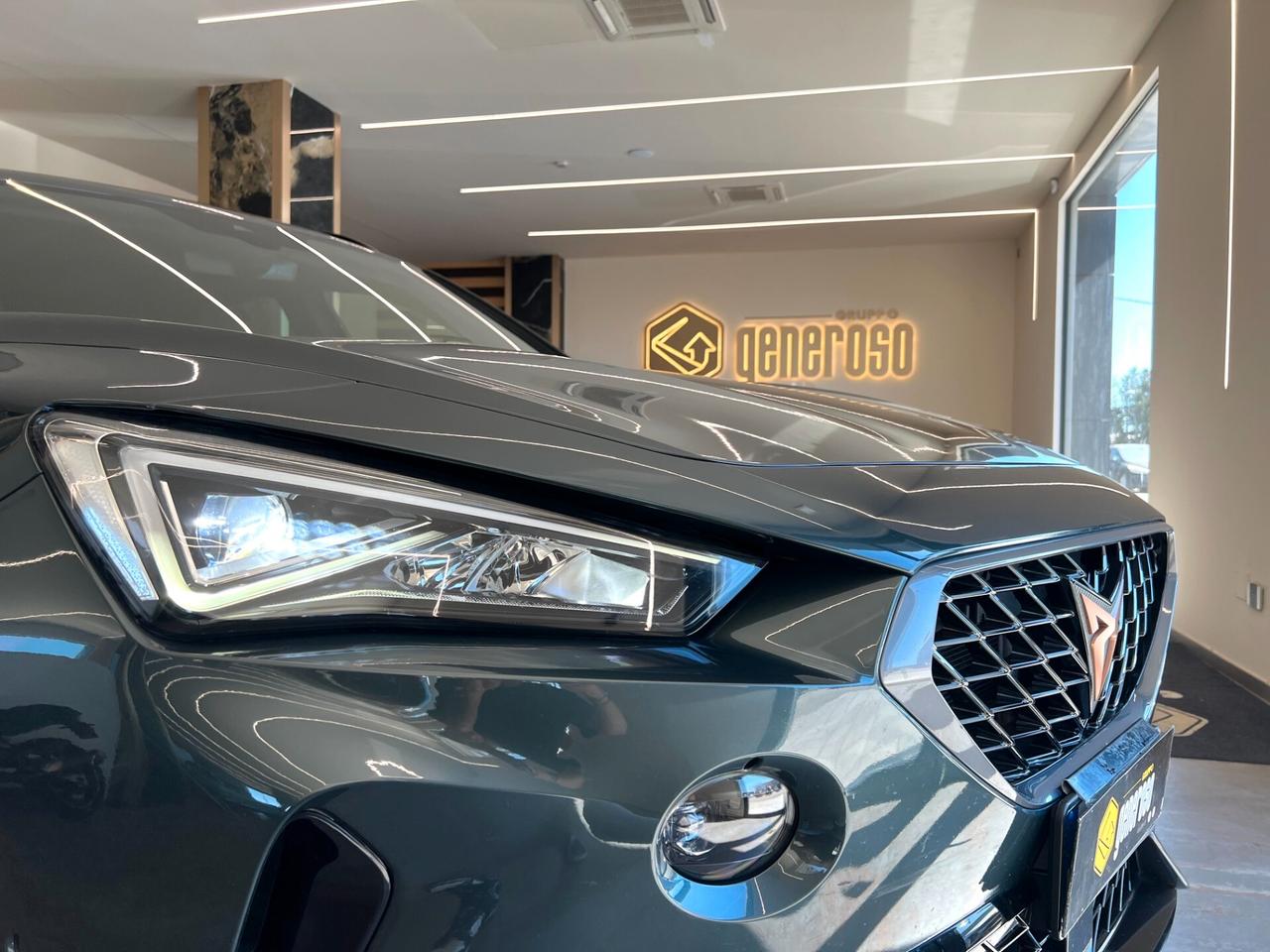 Cupra Formentor 2.0 TDI 4Drive DSG
