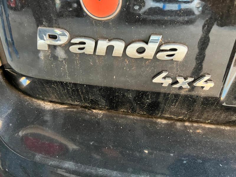 Fiat Panda Cross ( VENDITA RISERVATA AD OPERATORI DEL SETTORE ) Panda 1.3 mjt 16v Cross 4x4