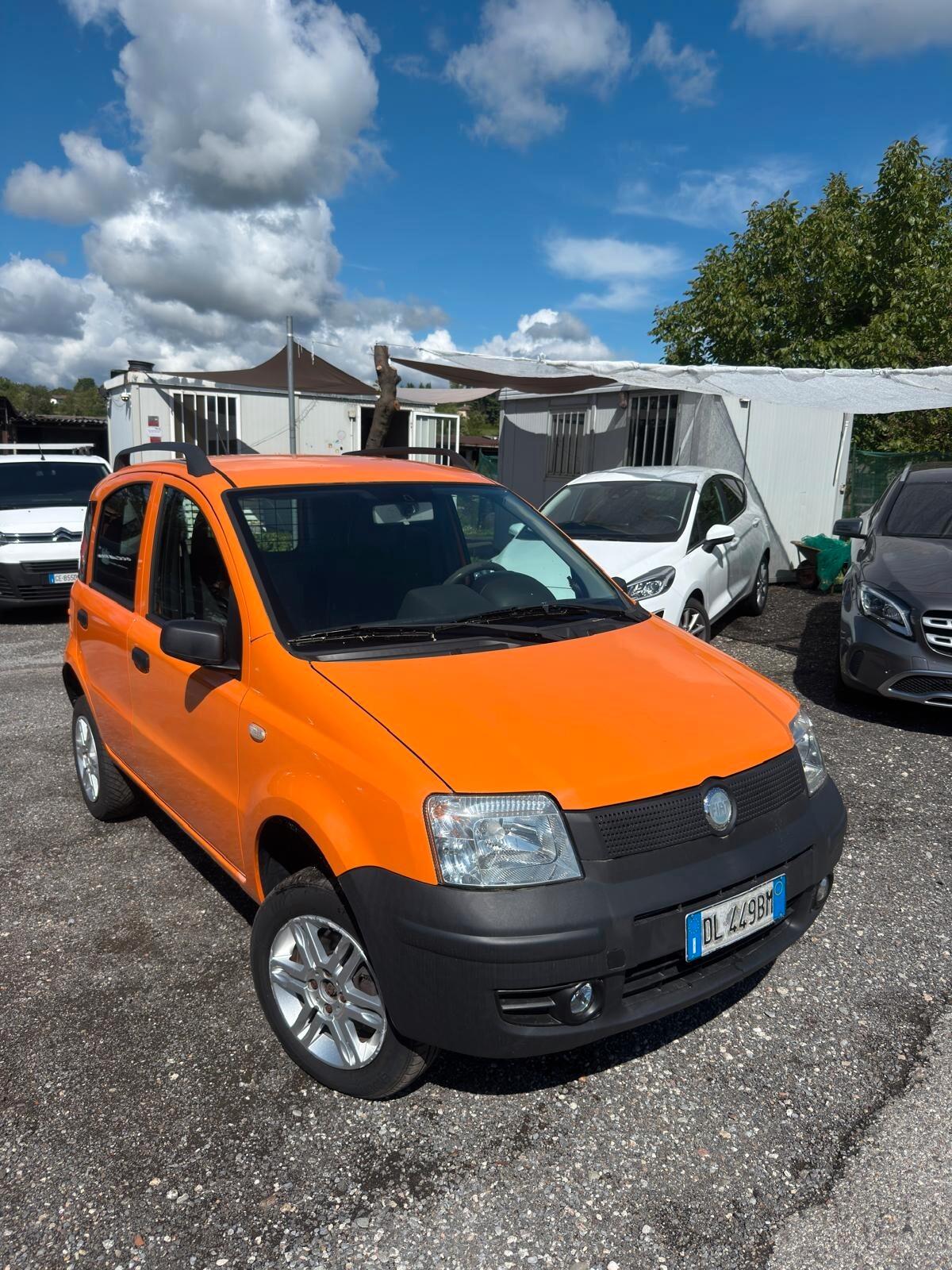 Fiat Panda 1.3 MJT 4x4 Van Active 2 posti