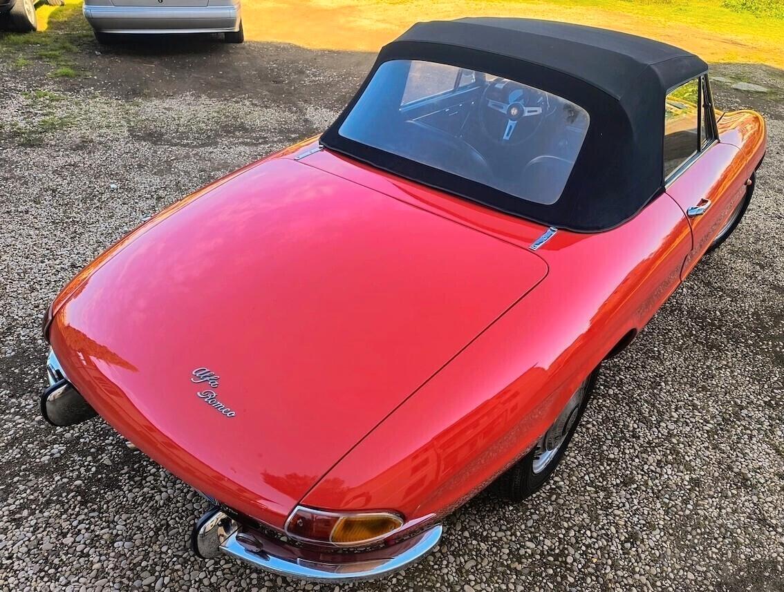 Alfa Romeo Spider 1600 OSSO DI SEPPIA